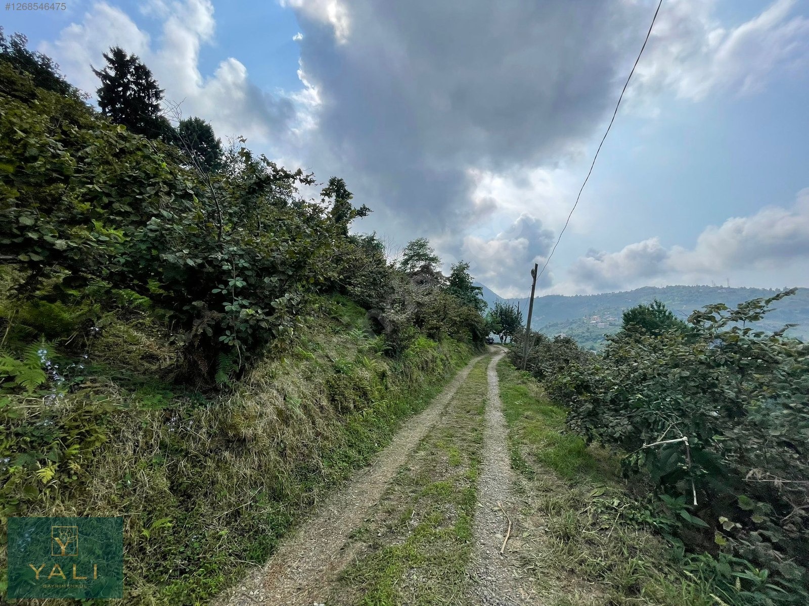 GİRESUN MERKEZ YALIKÖY MEVKİİ SATILIK ARAZİ - GİRESUN MERKEZ fotoğraf 25
